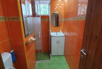 Apartament cu 2 camere decomandat în Șagului - 1