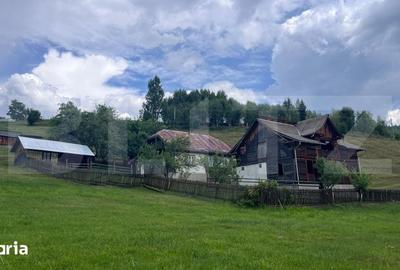 Teren de 36000 mp, în Bosanci - 10