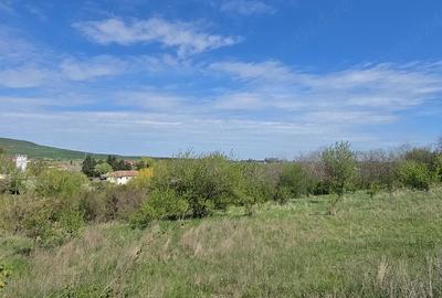 Teren de 500 mp, în Central