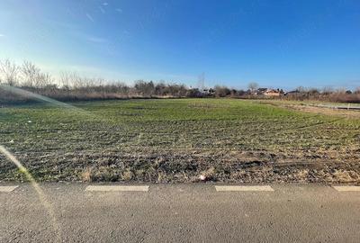 Teren de 3834 mp, în Lupăria - 3