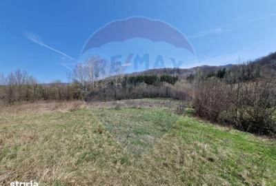 Teren de 2500 mp, în Mărgineni