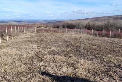Teren Construcții intravilan de 4352 mp, în Chinteni - 3