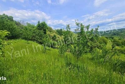 Casă cu 2 camere în Doblea - 11