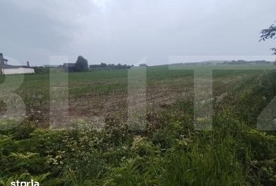 Teren de 7500 mp, în Curtești