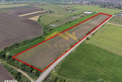 Teren de 26300 mp, în Livada - 2