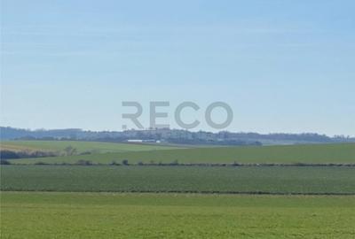 Teren de 42050 mp, în Tăut - 3