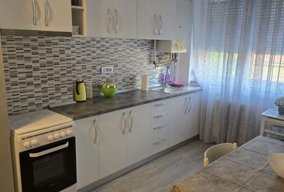 Apartament cu 2 camere în Burdea - 8