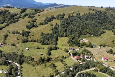 Teren de 17940 mp, în Vama - 1