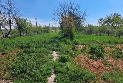 Casă cu 4 camere în Târgoviște