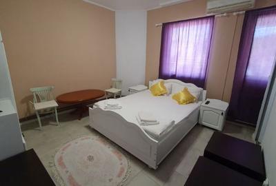 Spațiu comercial, de 767 mp, în Băile Felix - 3