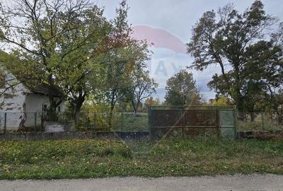 Teren Construcții intravilan de 4208 mp, în Șilindia - 9