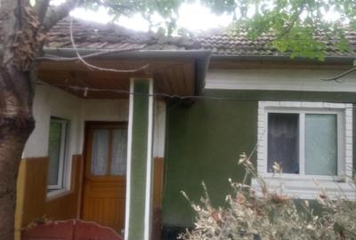 Casă individuală cu 3 camere cu Teren 1876 Mp în Vest - 5