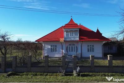 Casă cu 6 camere cu Teren 12500 Mp în Sasca Mică