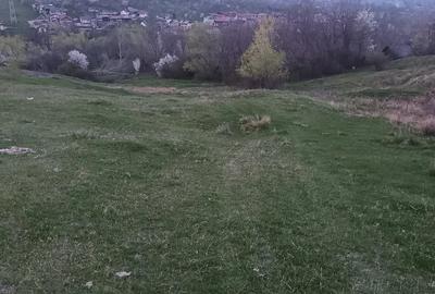 Teren de 2600 mp, în Izvoarele - 10