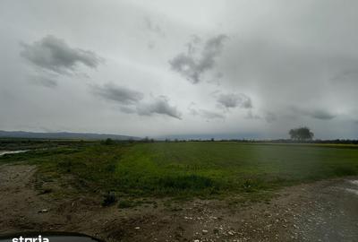 Teren de 2500 mp, în Câmpineanca