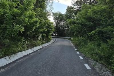 Teren de 8 mp, în Coaș - 3