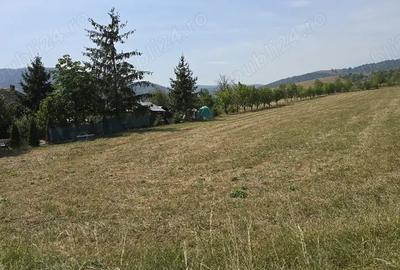 Teren de 4270 mp, în Agapia - 3