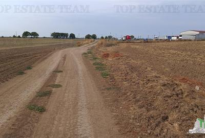 Teren agricol extravilan de 81906 mp, în Petrăchioaia - 15