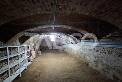 Casă individuală cu 4 camere cu Canalizare în Apoldu de Jos - 9