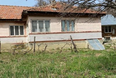 Casă cu 4 camere cu Teren 910 Mp în Nistorești - 2