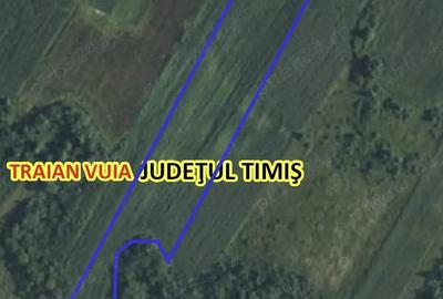 Teren de 23200 mp, în Traian Vuia - 1