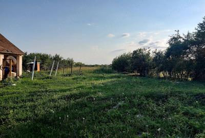 Casă în Alioș - 2
