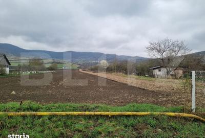 Teren de 16000 mp, în Șieu - 2