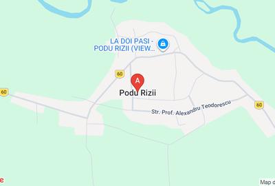 Casă individuală cu 3 camere cu Teren 2873 Mp în Podu Rizii - 1