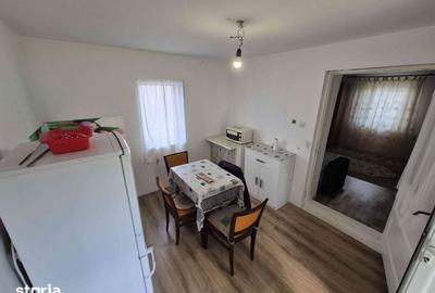 Casă cu 4 camere cu Teren 1200 Mp în Peciu Nou - 16