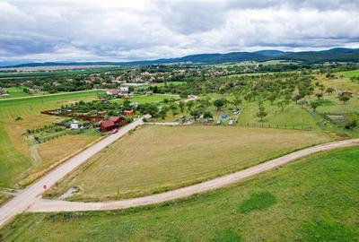 Teren Construcții extravilan de 3800 mp, în Valea Crișului - 3