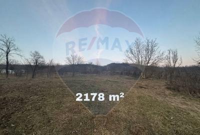 Teren de 3121 mp, în Buhoci - 1