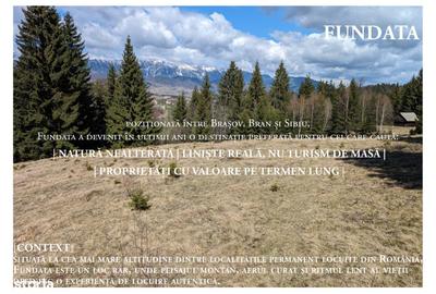 Teren de 4000 mp, în Fundata - 3