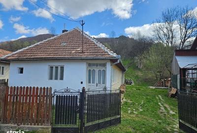 Casă cu 3 camere în Trăisteni