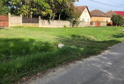 Casă cu 4 camere în Șicula - 4