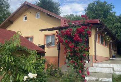 Casă cu 3 camere cu Teren 1450 Mp în Seciu