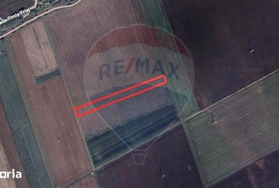 Teren de 5876 mp, în Sânpetru