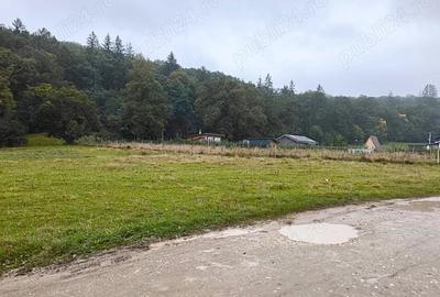 Teren de 2000 mp, în Cristian