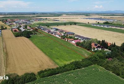 Teren de 6158 mp, în Odoreu - 4