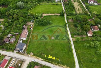 Teren Construcții intravilan de 15000 mp, în Tăuții-Măgherăuș - 2