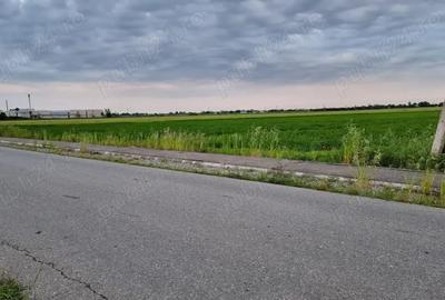 Teren de 30000 mp, în Filipeștii de Târg - 1