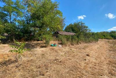 Teren agricol intravilan de 3800 mp, în Parincea - 4