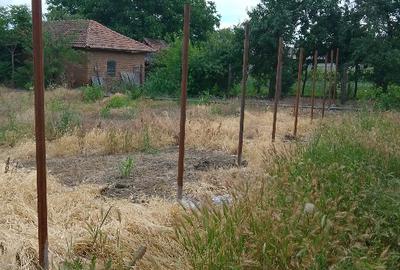 Teren Construcții intravilan de 450 mp, în Obedin - 1