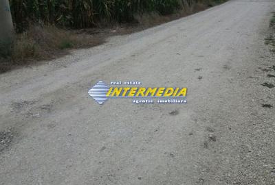 Teren Construcții intravilan de 11000 mp, în Cetate - 1