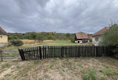 Teren de 1602 mp, în Petrindu