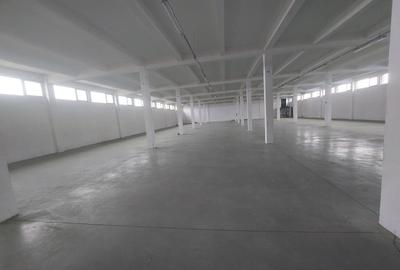 Spațiu industrial, de 932 mp, în Zona Industrială - 2