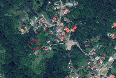 Teren de 6200 mp, în Cornu - 1
