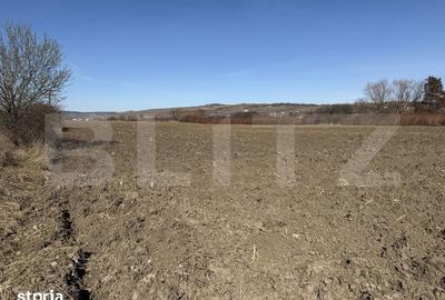 Teren de 4000 mp, în Hereclean - 3