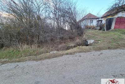 Teren Construcții intravilan de 2125 mp, în Henig - 6