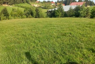 Teren de 2700 mp, în Poiana Sibiului - 3