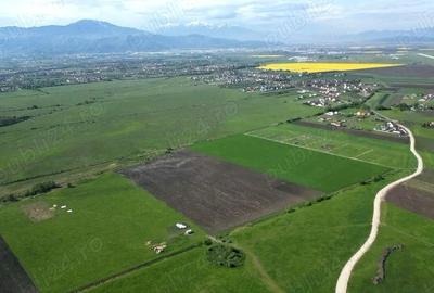 Teren de 8600 mp, în Stupini